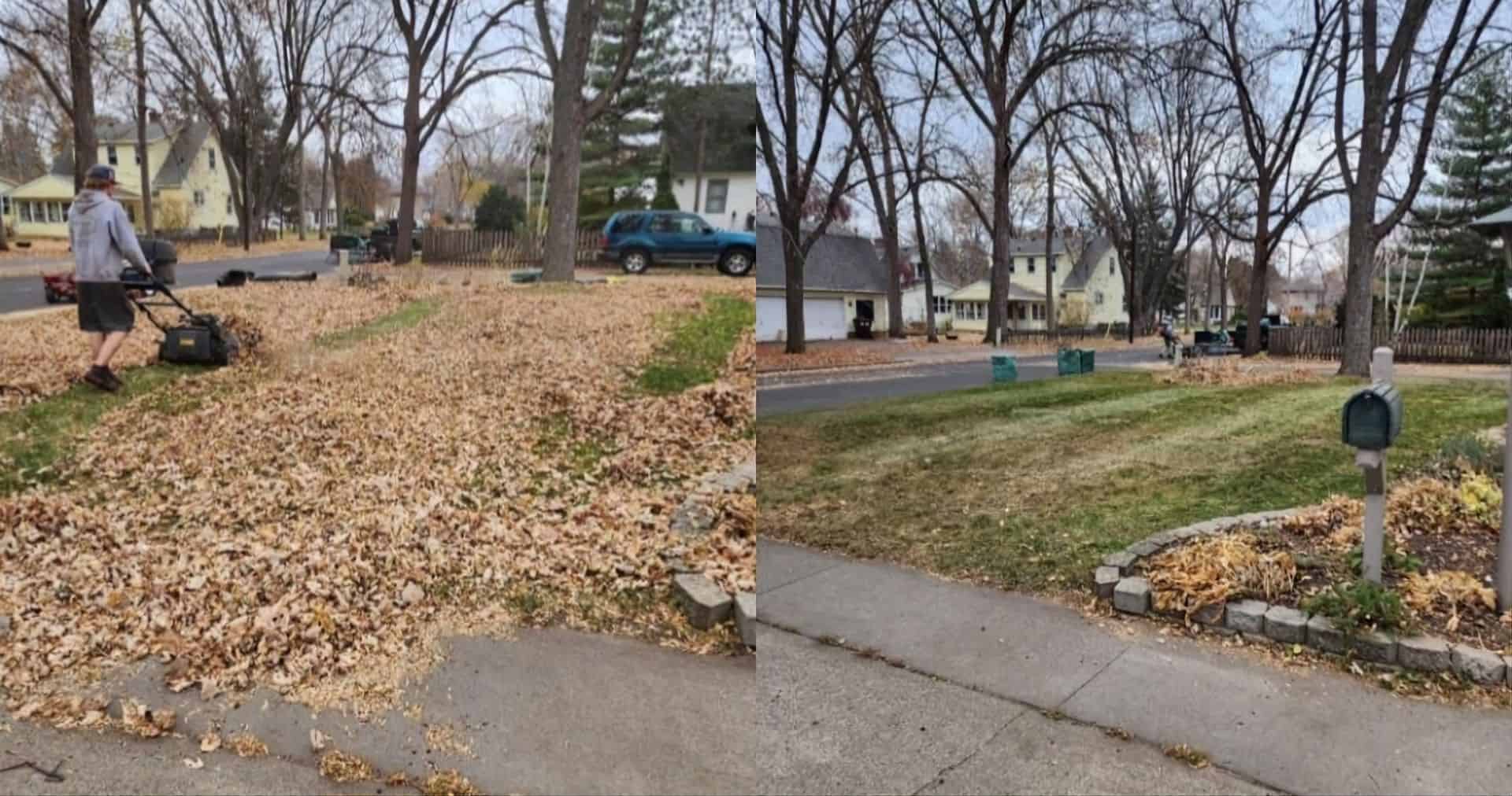 Spring and Fall Clean Ups image