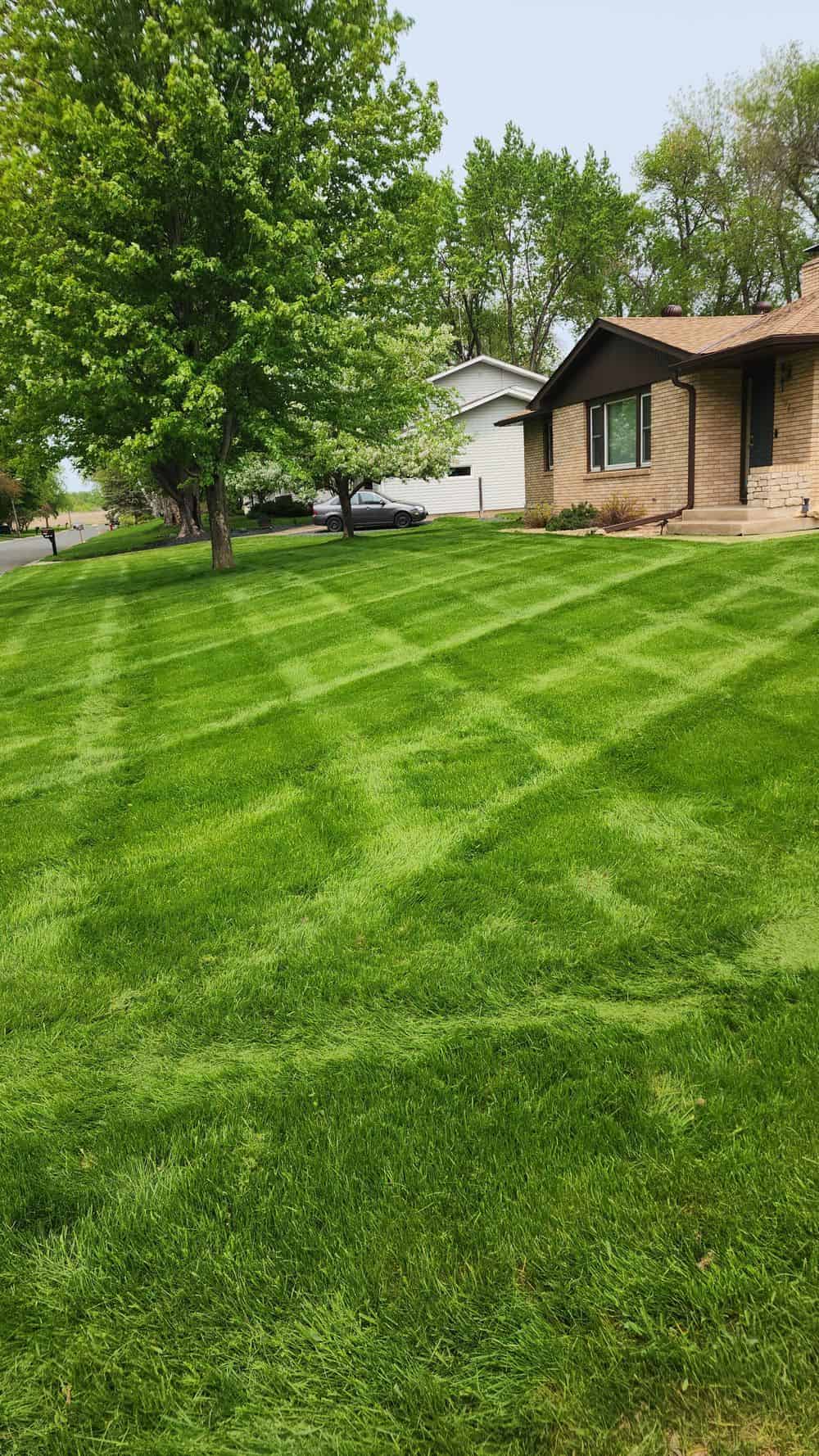 Lawn Mowing image
