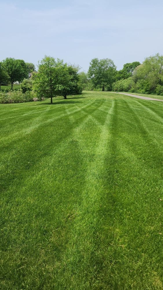 Lush green lawn with neatly striped grass and trees along a pathway on a sunny day.