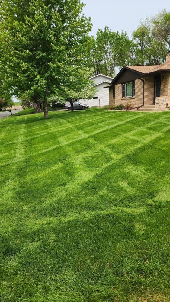Well-maintained lawn with striped patterns and a house in the background on a sunny day.