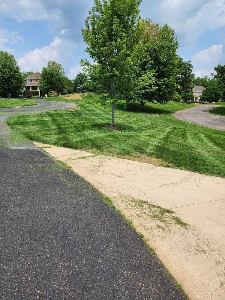 Crisp green lawn with tree, bordered by paved pathways in a suburban neighborhood.
