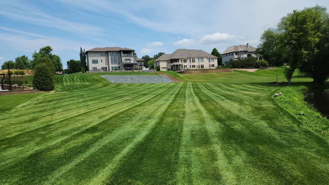 Lush green lawn with striped mowing pattern and residential homes in the background.