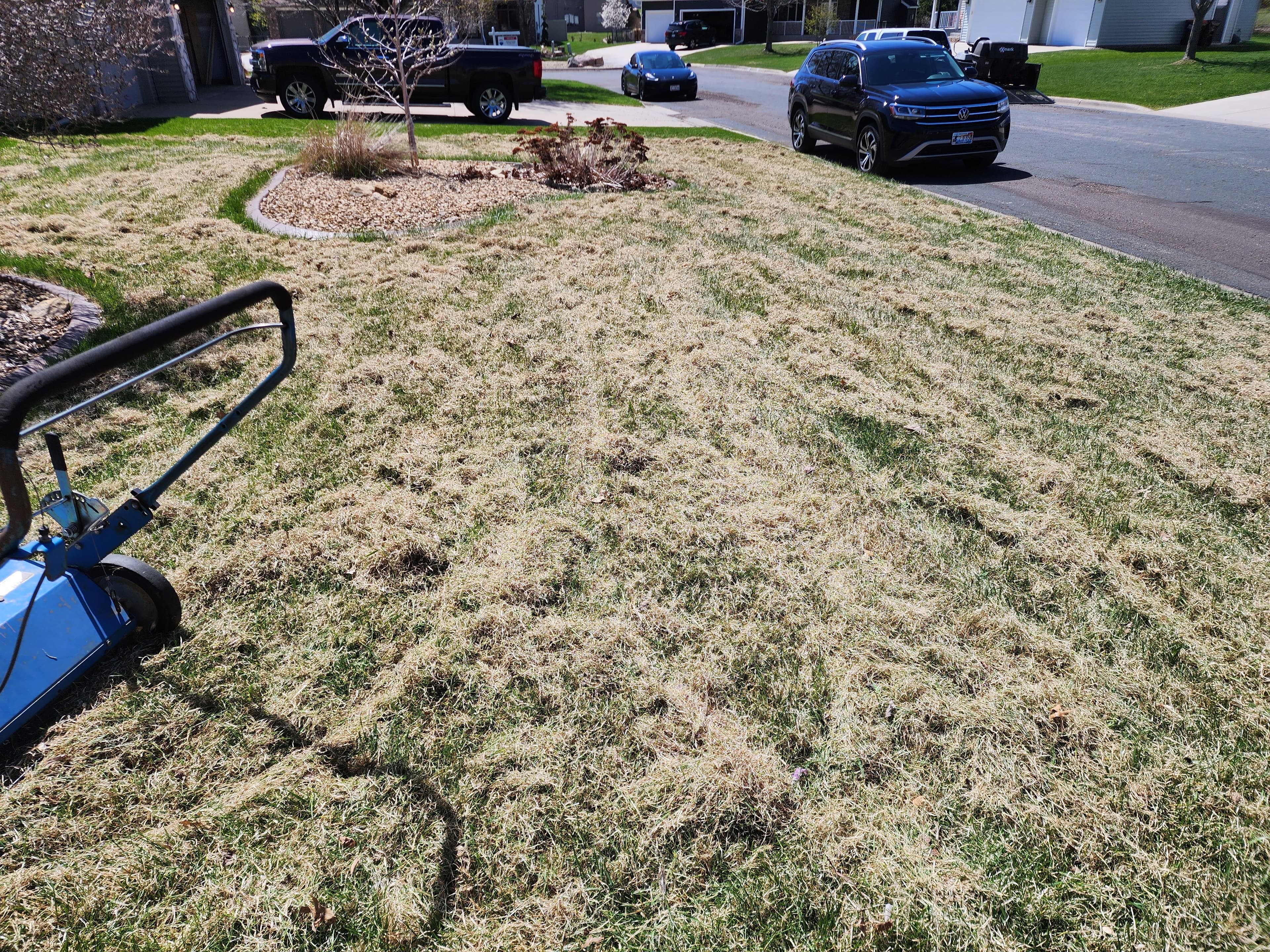 Project Revitalize Your Lawn with Our Dethatching and Clean-Up Services image