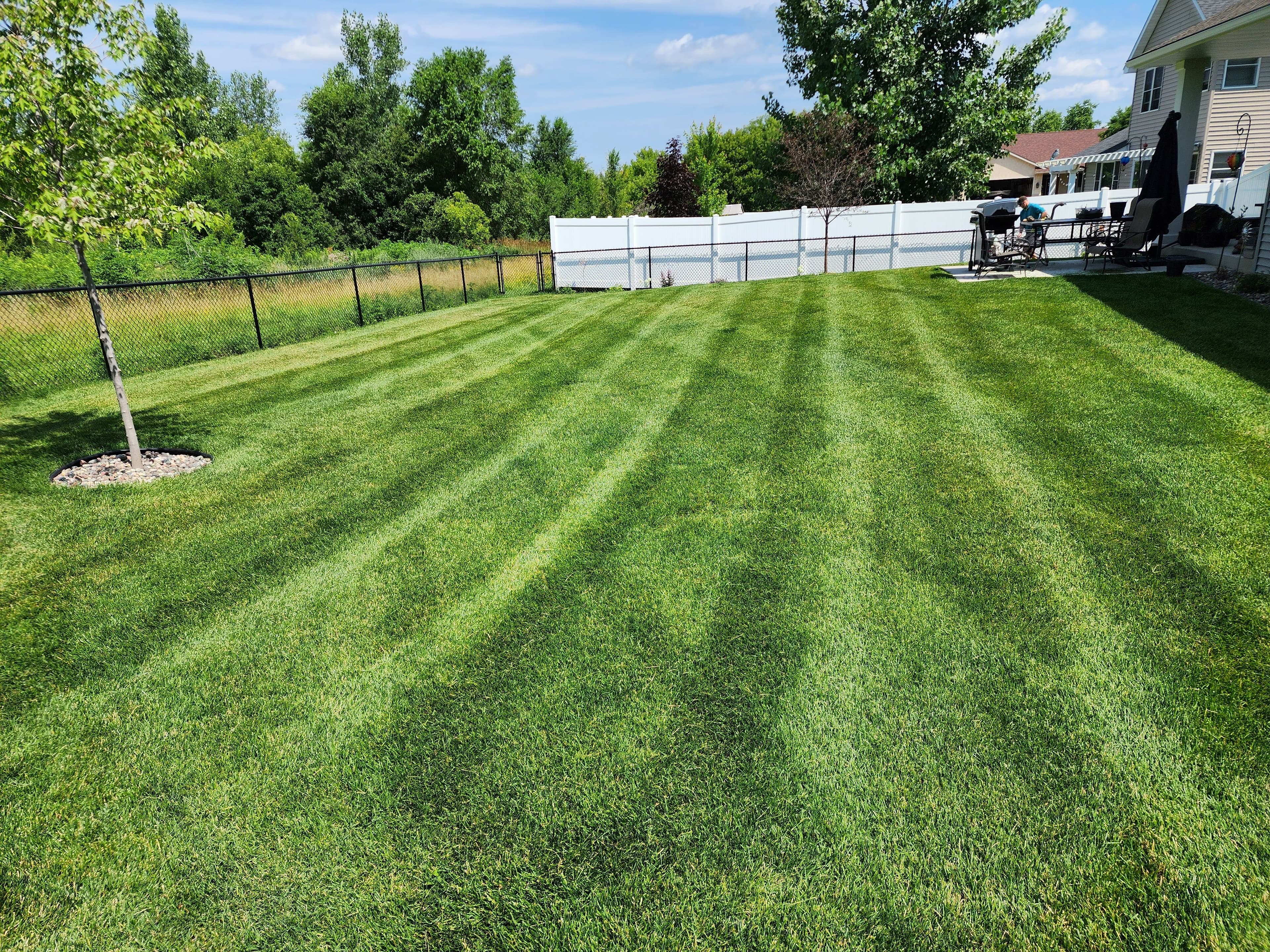 Project Perfect Lawn Stripes at Home image