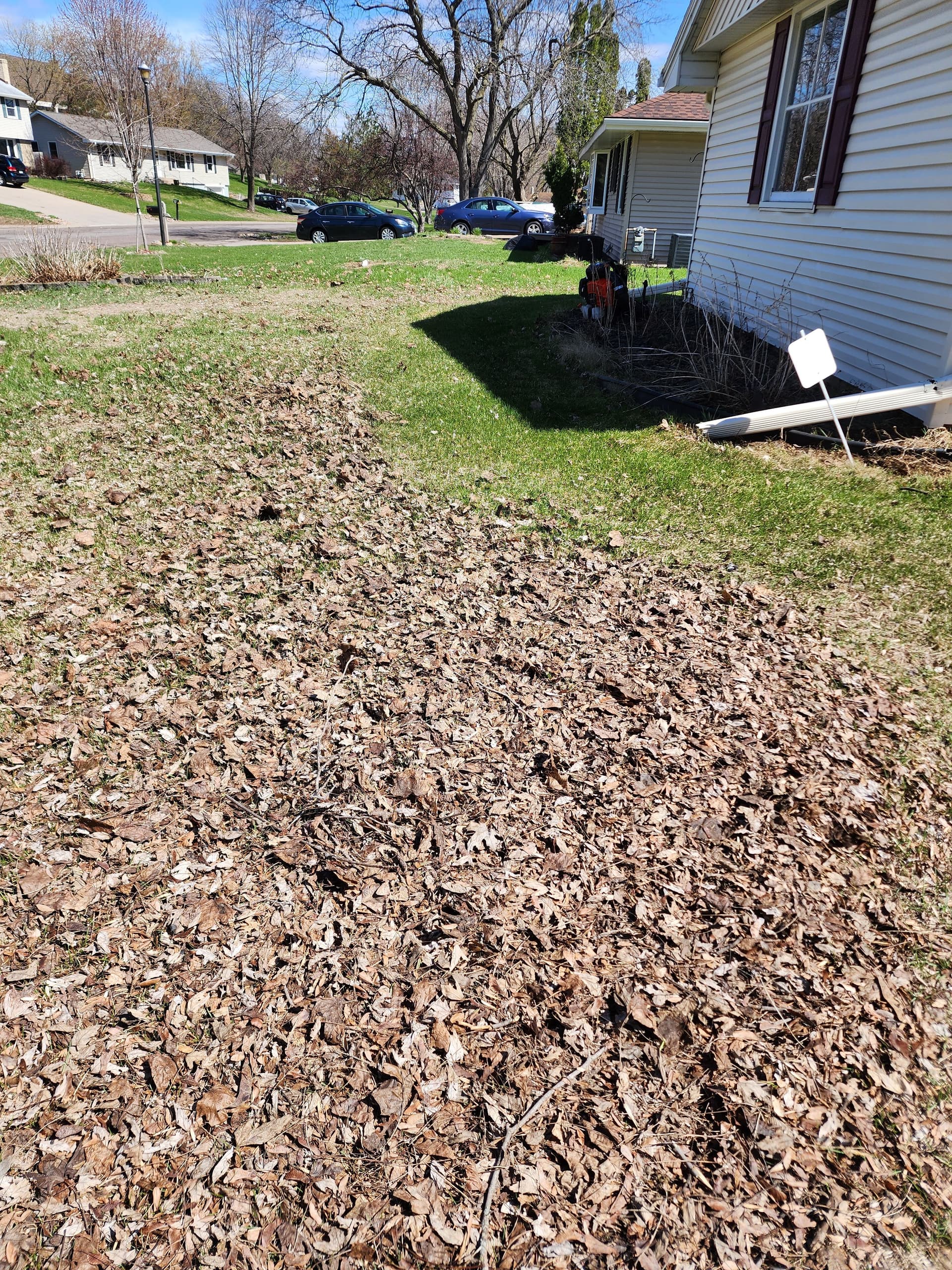 Gallery photos for Revitalize Your Lawn with Our Dethatching and Clean-Up Services: Image #2