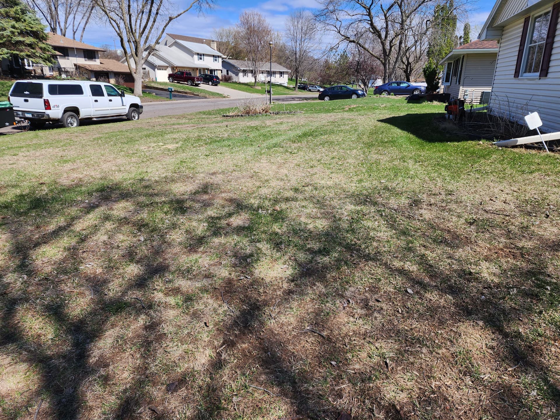 Gallery photos for Revitalize Your Lawn with Our Dethatching and Clean-Up Services: Image #3
