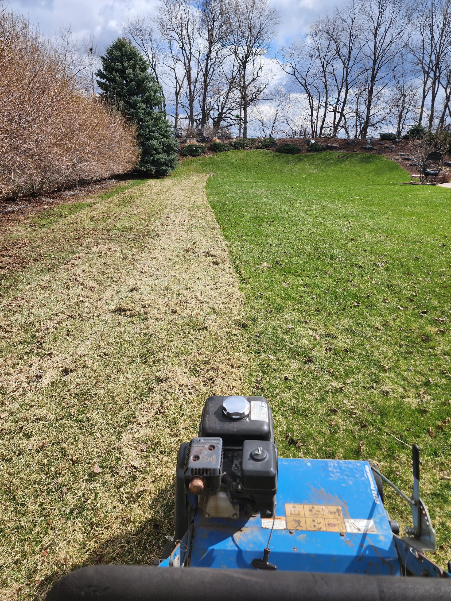 Gallery photos for Revitalize Your Lawn with Our Dethatching and Clean-Up Services: Image #1